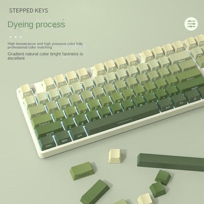 Wireless 87 Keys Punk Keycaps Hot Swap RGB Gaming  Mechanical Keyboard