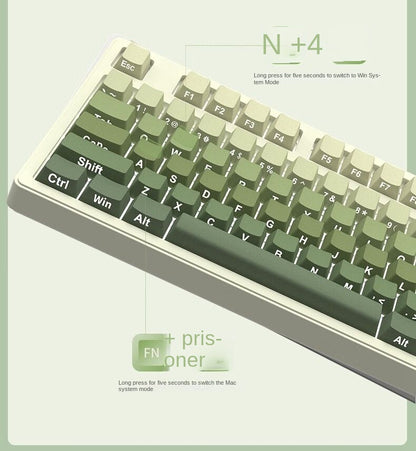Wireless 87 Keys Punk Keycaps Hot Swap RGB Gaming  Mechanical Keyboard