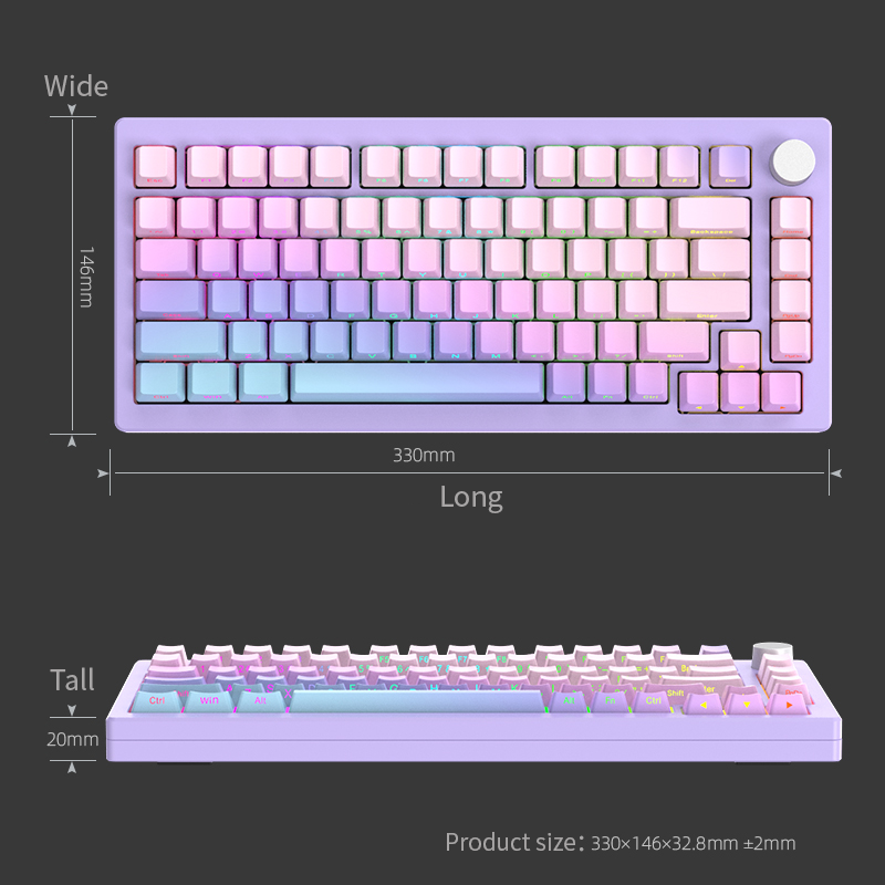 Custom Keyboard Kit- Gasket Mount Mechanical Gaming Keyboard, RGB Clear Keyboard Kit, Hot Swappable Keyboard, Pre-lubed Switch for Mac/Win