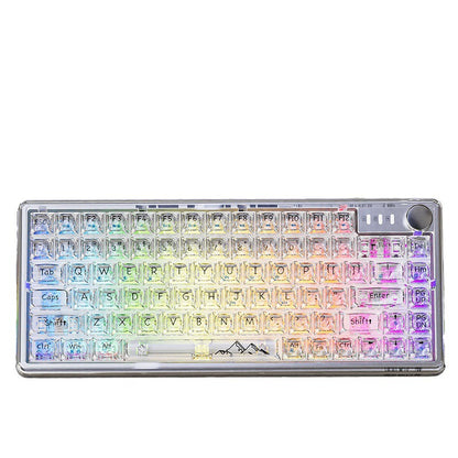 Wireless RGB Backlit Hot-swappable Mechanical Gaming keyboard