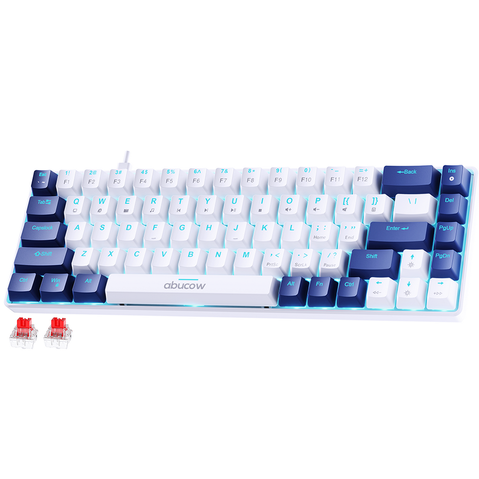 Mechanical Keyboard – Abucow