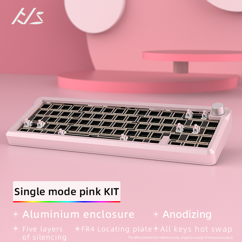 Custom Keyboard Kit- Gasket Mount Mechanical Gaming Keyboard,  RGB Clear Keyboard Kit, Hot Swappable Keyboard, Pre-lubed Switch for Mac/Win,