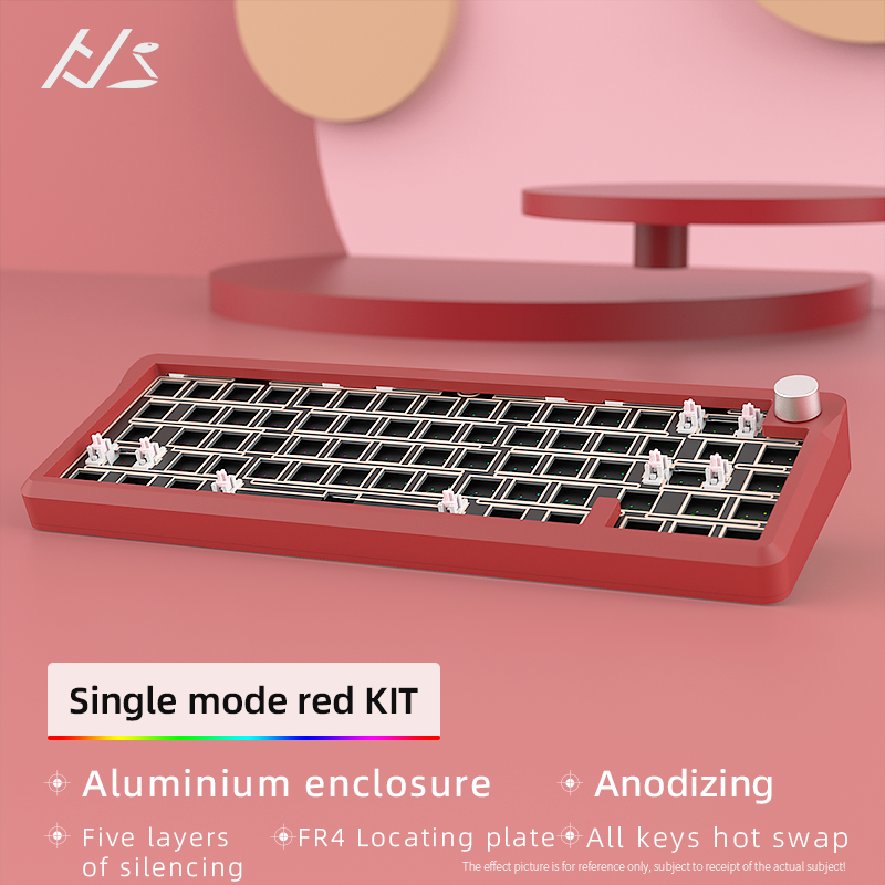 Custom Keyboard Kit- Gasket Mount Mechanical Gaming Keyboard,  RGB Clear Keyboard Kit, Hot Swappable Keyboard, Pre-lubed Switch for Mac/Win,
