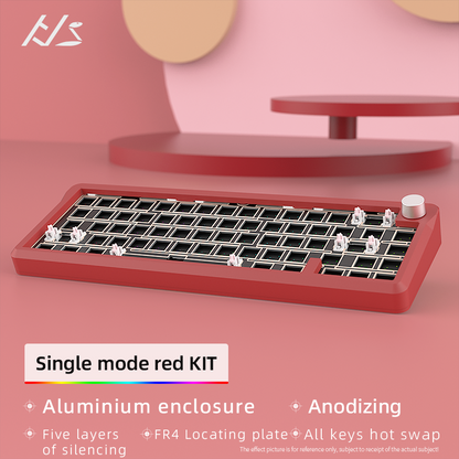 Kit de teclado personalizado: teclado mecánico para juegos con montaje en junta, kit de teclado transparente RGB, teclado intercambiable en caliente, interruptor prelubricado para Mac/Win,