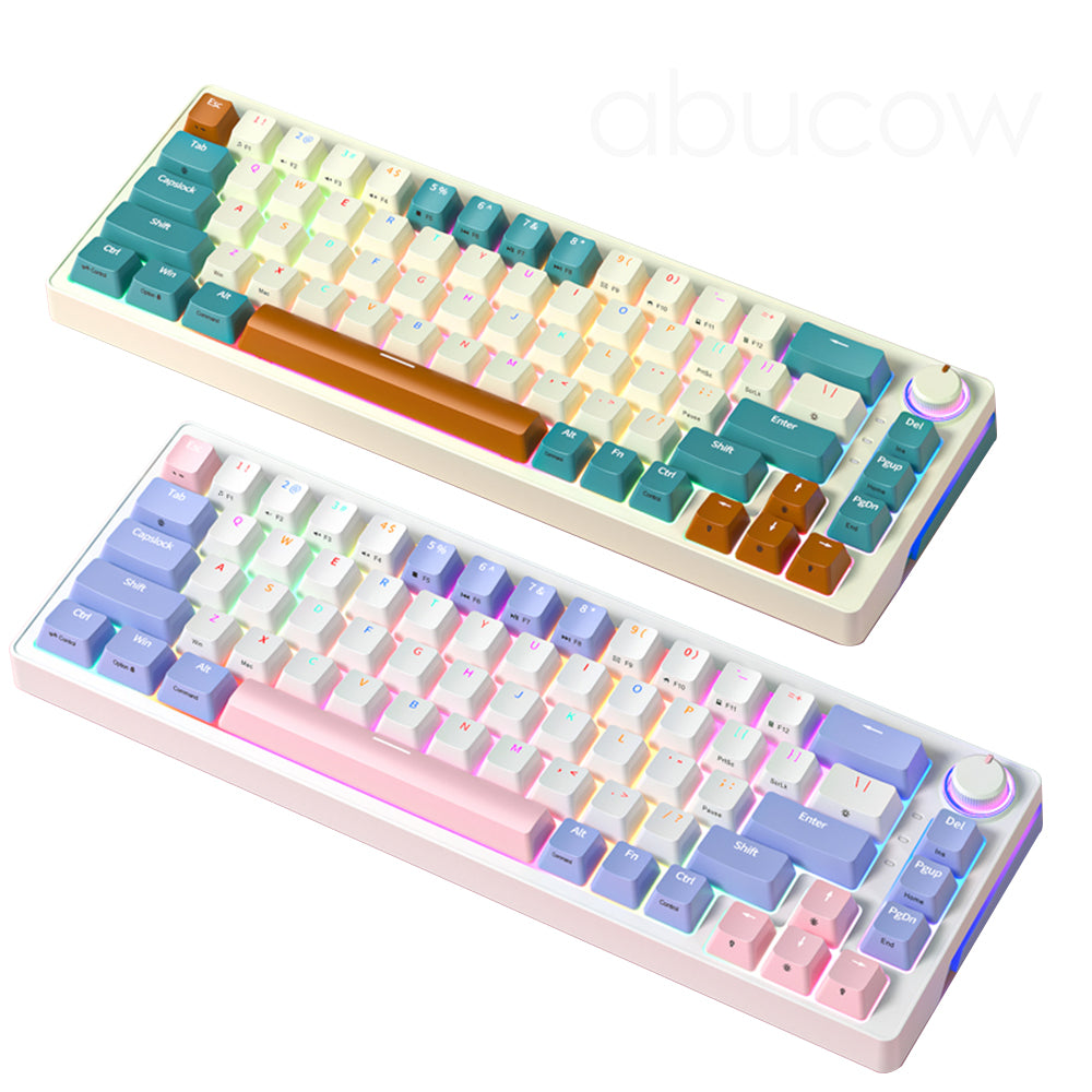 Abucow 68 Keys RGB Hotswap Wirless Mechanical Gaming Keyboard