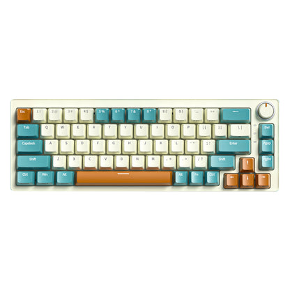 Abucow 68 Keys RGB Hotswap Mechanical Gaming Keyboard